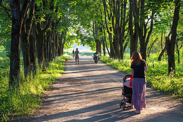 De ultieme keuzehulp voor kinderwagentassen: stijl, functionaliteit en onderhoud